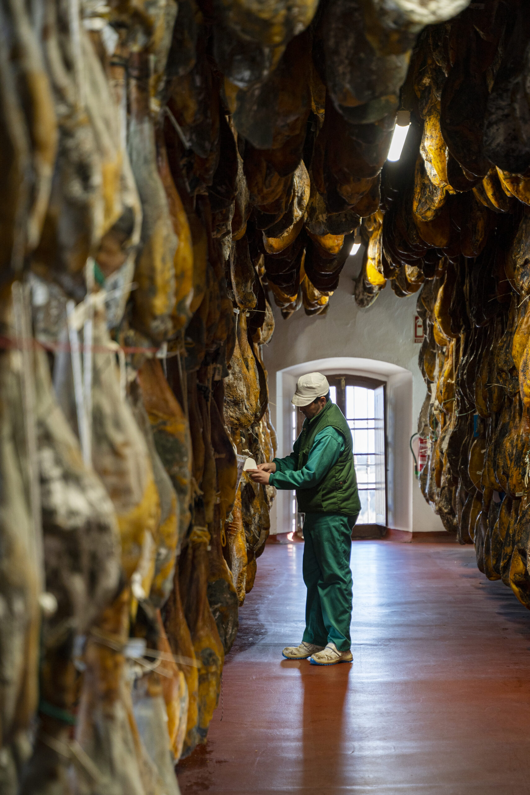 secadero natural jamon ibeeico